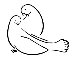 Dove illustration,dove